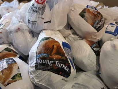 turkey turkey