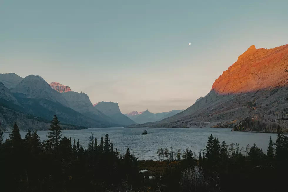 Photo by Dave Herring via Unsplash